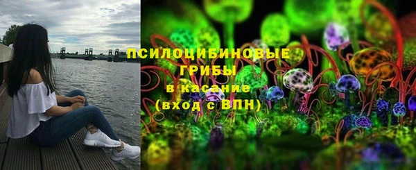 метадон Алексин