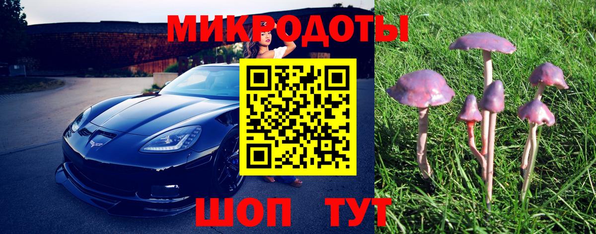 Псилоцибиновые грибы MAGIC MUSHROOMS Воткинск
