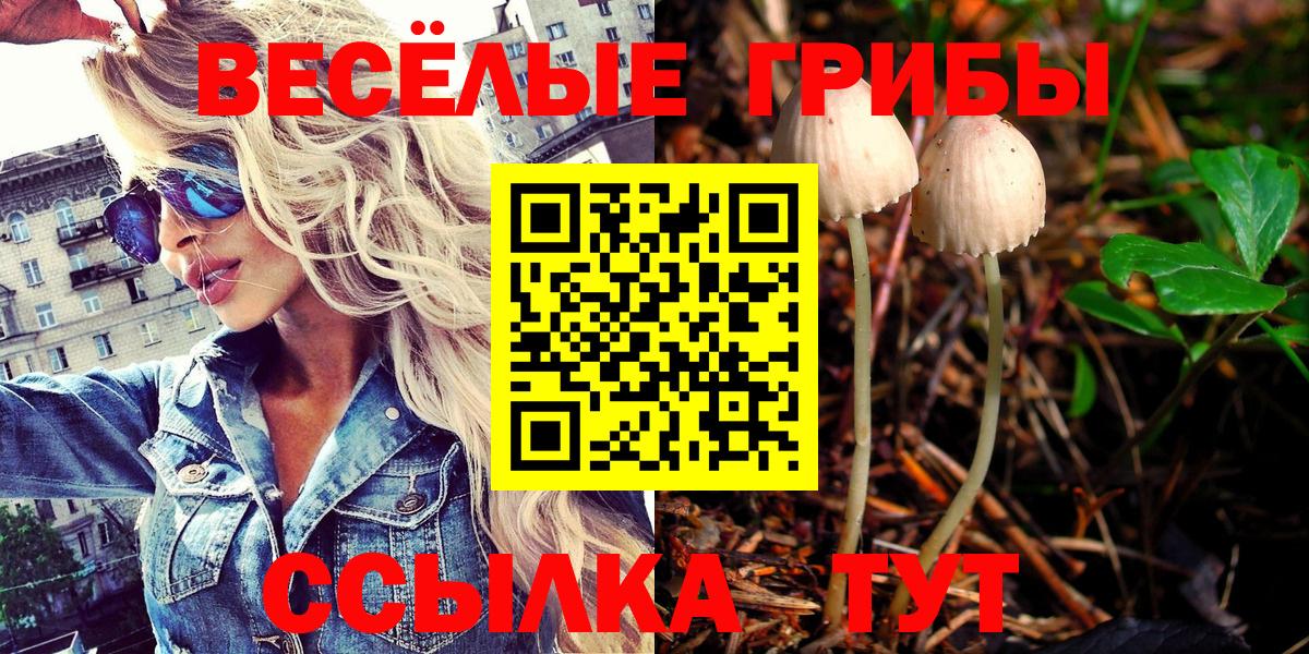 Псилоцибиновые грибы GOLDEN TEACHER  Вход с VPN  Воткинск 